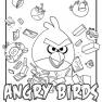 angry-birds-de-colorat-p05