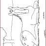 animale-cai-de-colorat-p41