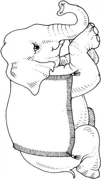 animale-elefanti-de-colorat-p35