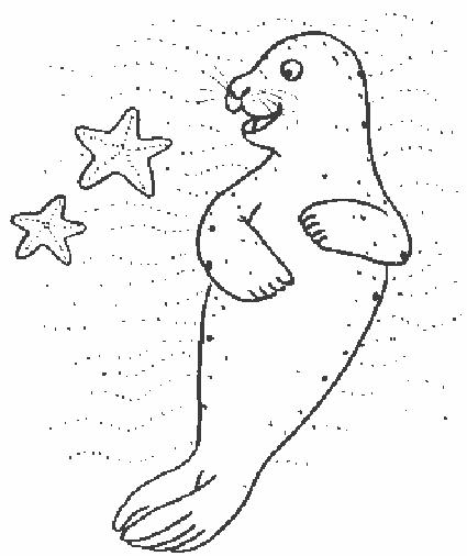 animale-morse-si-foci-de-colorat-p06