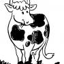 animale-vaci-de-colorat-p25