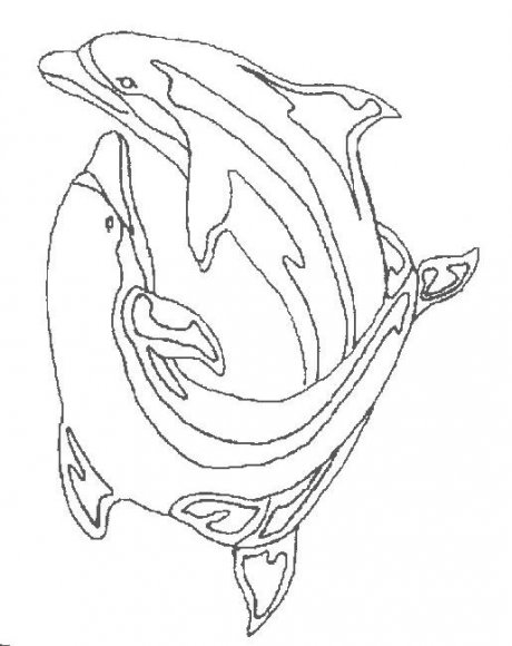 animale-delfini-de-colorat-p12