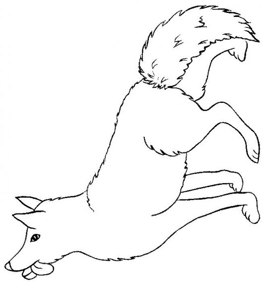 animale-lupi-de-colorat-p19
