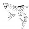 animale-rechini-de-colorat-p09