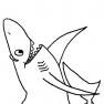 animale-rechini-de-colorat-p16